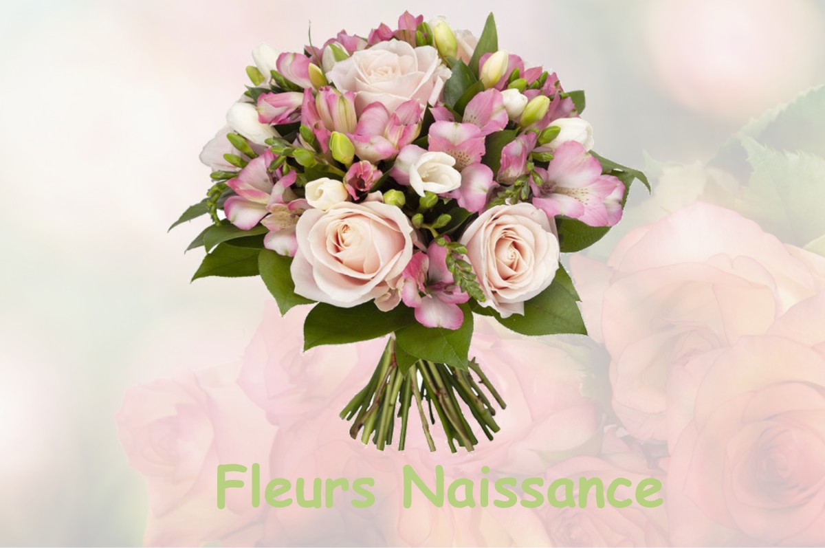fleurs naissance GISAY-LA-COUDRE