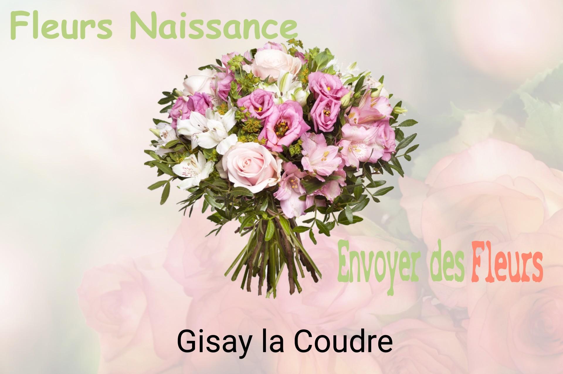 Bouquet de fleurs de naissance livré à Gisay-la-Coudre